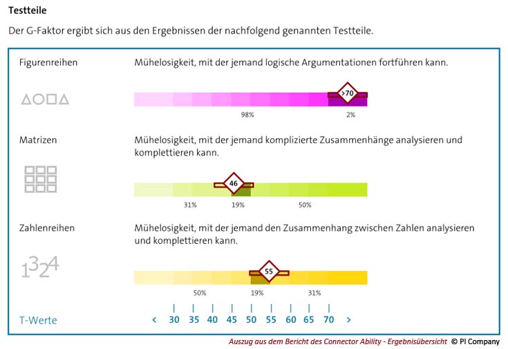 Auszug aus dem Bericht des Fähigkeitstests Connector Ability im Online-Assessment