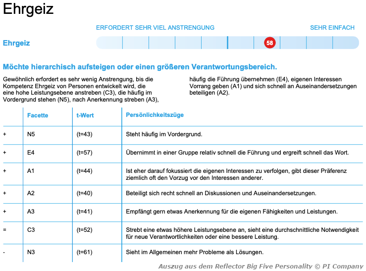 Auszug Kompetenzbericht Big Five Persönlichkeitsfragebogen "Reflector Big Five Personality", basierend auf dem Big Five Persönlichkeitsmodell